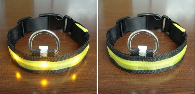 Pomeranian Husky Small And Medium-Sized Big Dog Smlxl Luminous Led Pet Collar