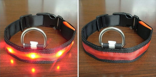 Pomeranian Husky Small And Medium-Sized Big Dog Smlxl Luminous Led Pet Collar